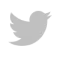Twitter Icon